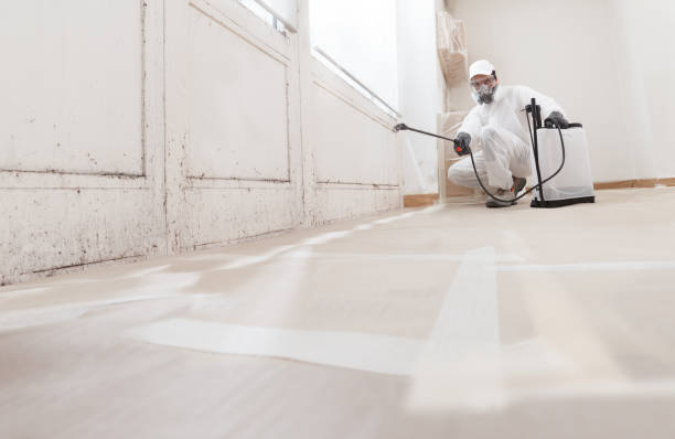 Black mold remediation team in Longboat Key